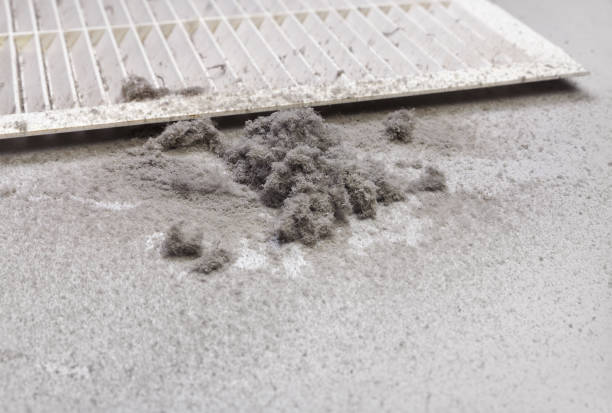 Best Air Duct Cleaning Near Me in Chillum, MD